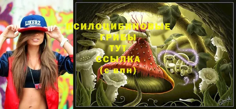 Псилоцибиновые грибы Magic Shrooms  Крым 